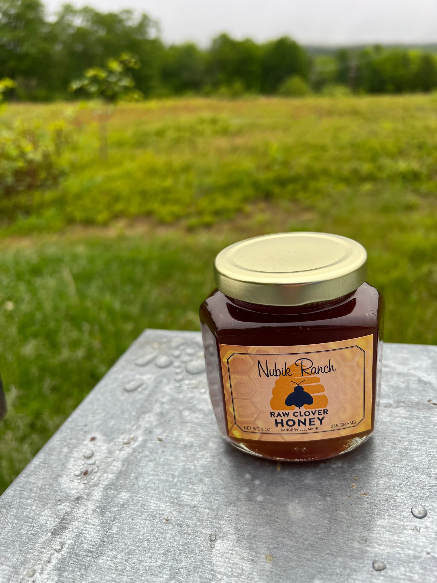 Honey Raw Clover Maine 9 oz.