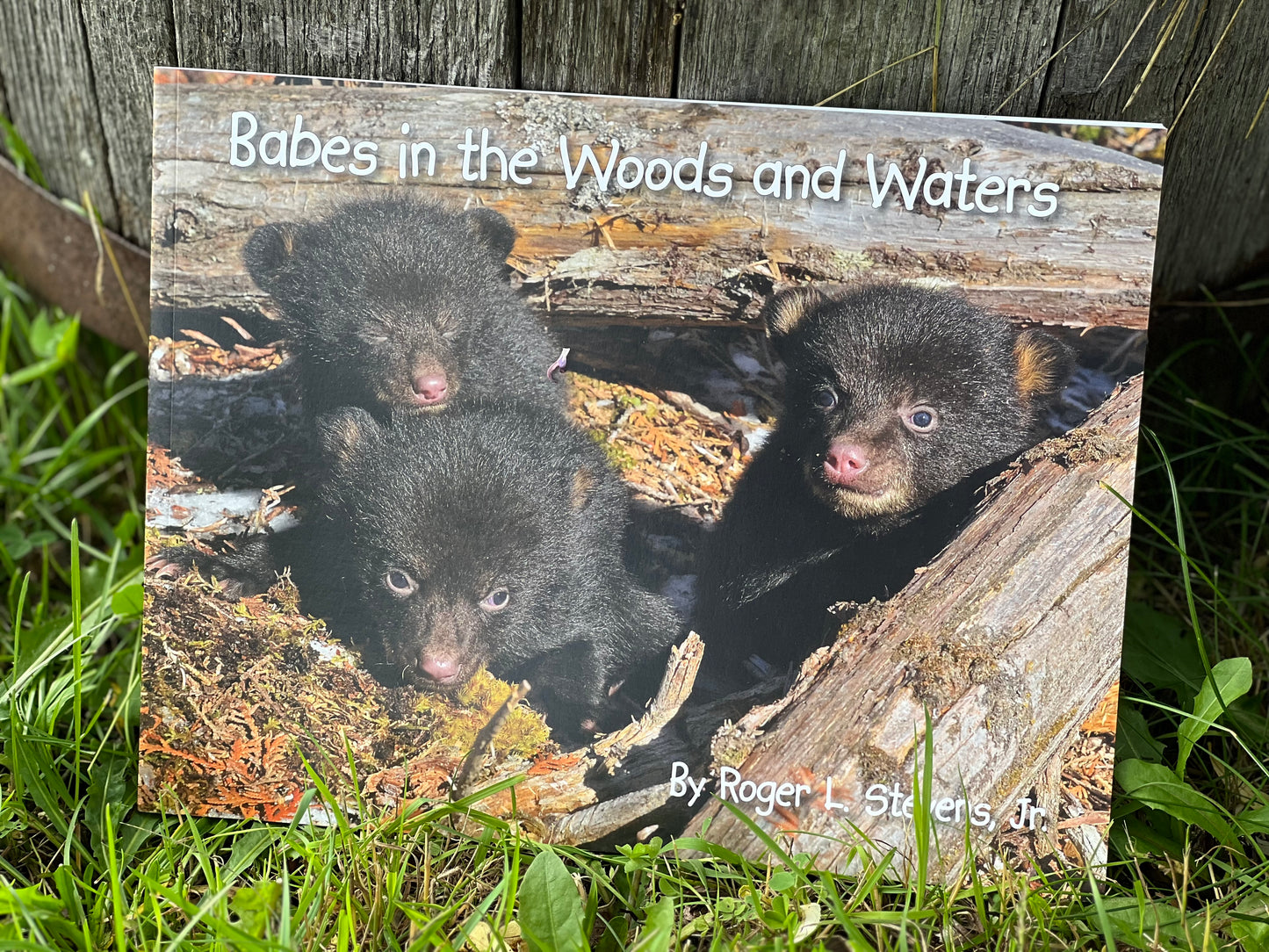 Maine Author BABES IN THE WOODS AND WATER by Roger Stevens Jr.