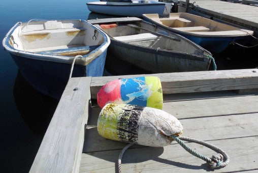 Maine Authors for Children