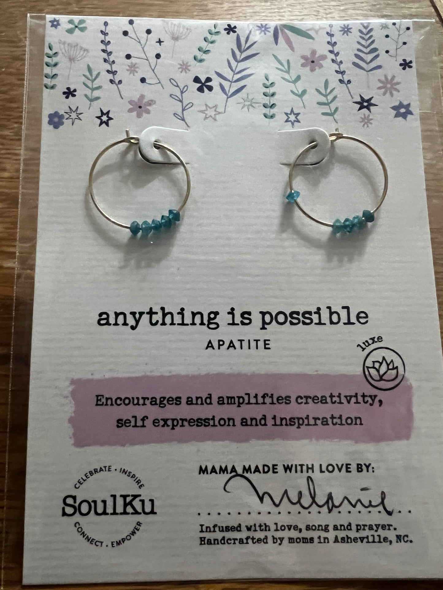 Earrings Anything Is Possible