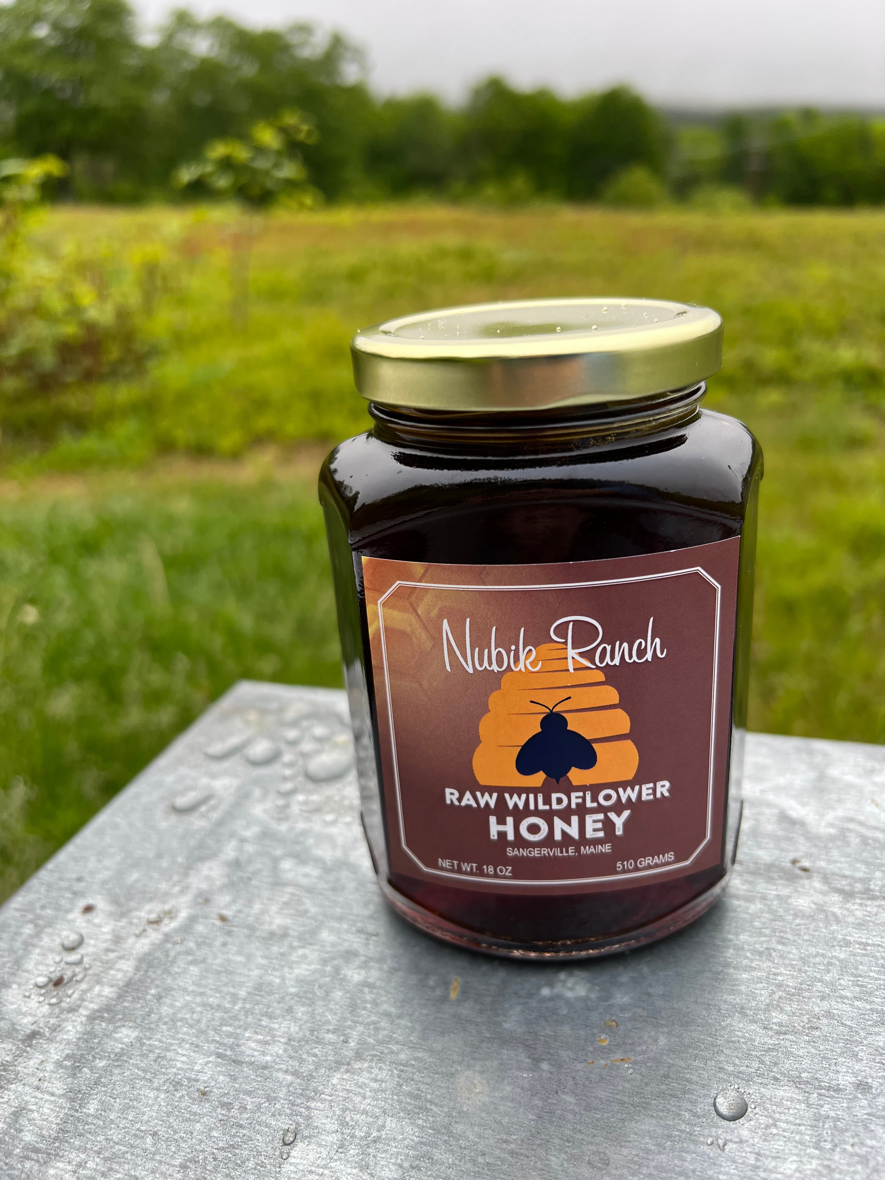 Honey Wildflower Raw Maine 18 oz.