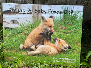 Maine Author WHAT DO BABY FOXES DO? By Roger L. Stevens
