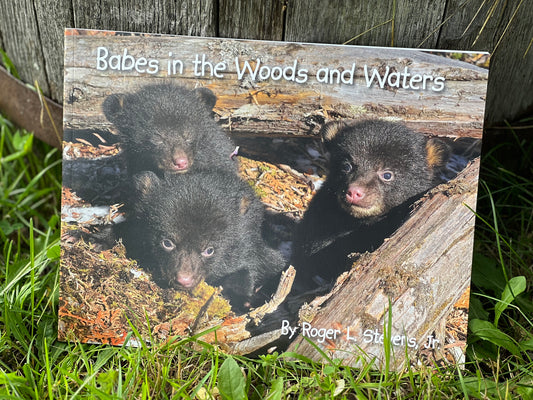 Maine Author BABES IN THE WOODS AND WATER by Roger Stevens Jr.