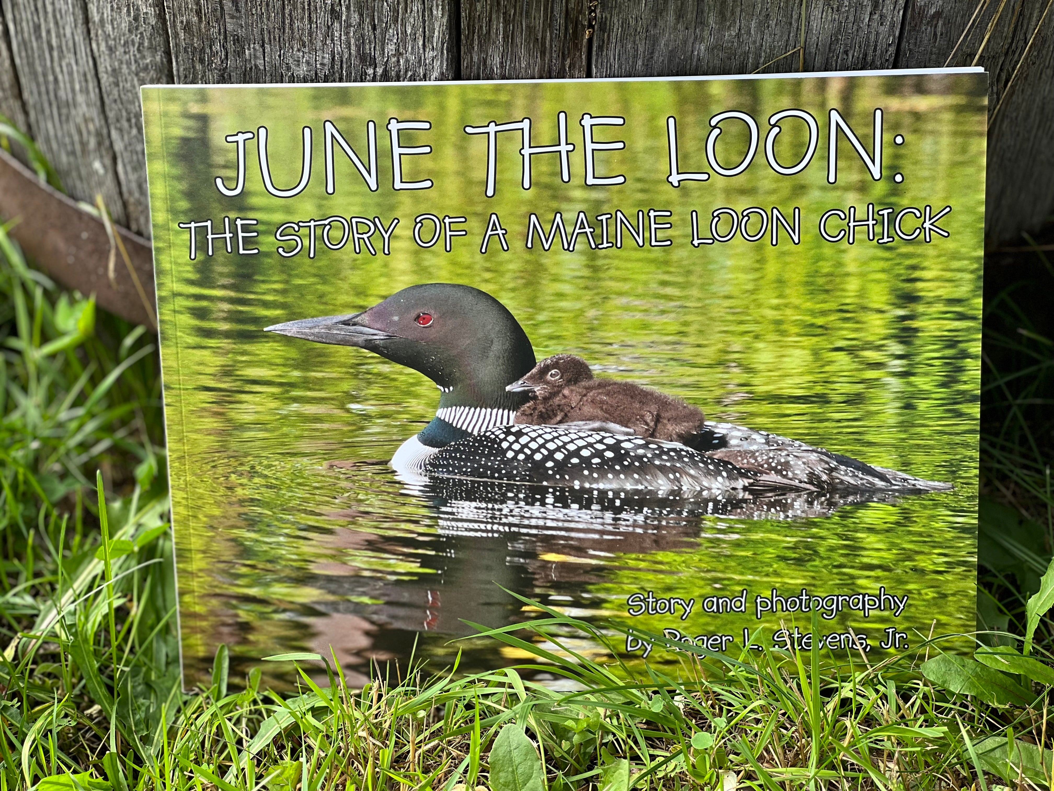 Maine Author JUNE THE LOON by Roger L. Stevens