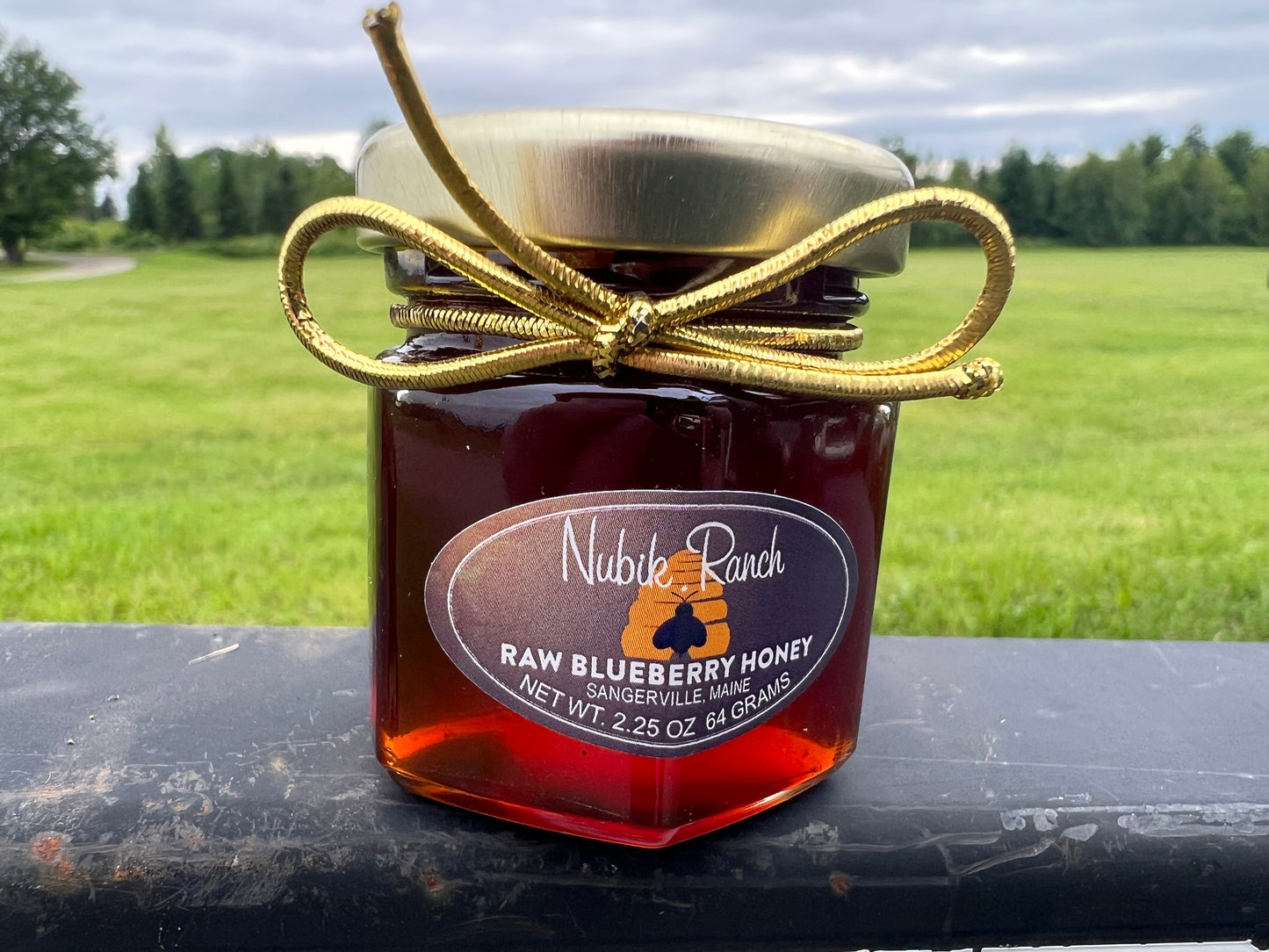 Honey Blueberry Maine Pure Raw 2.25 oz.