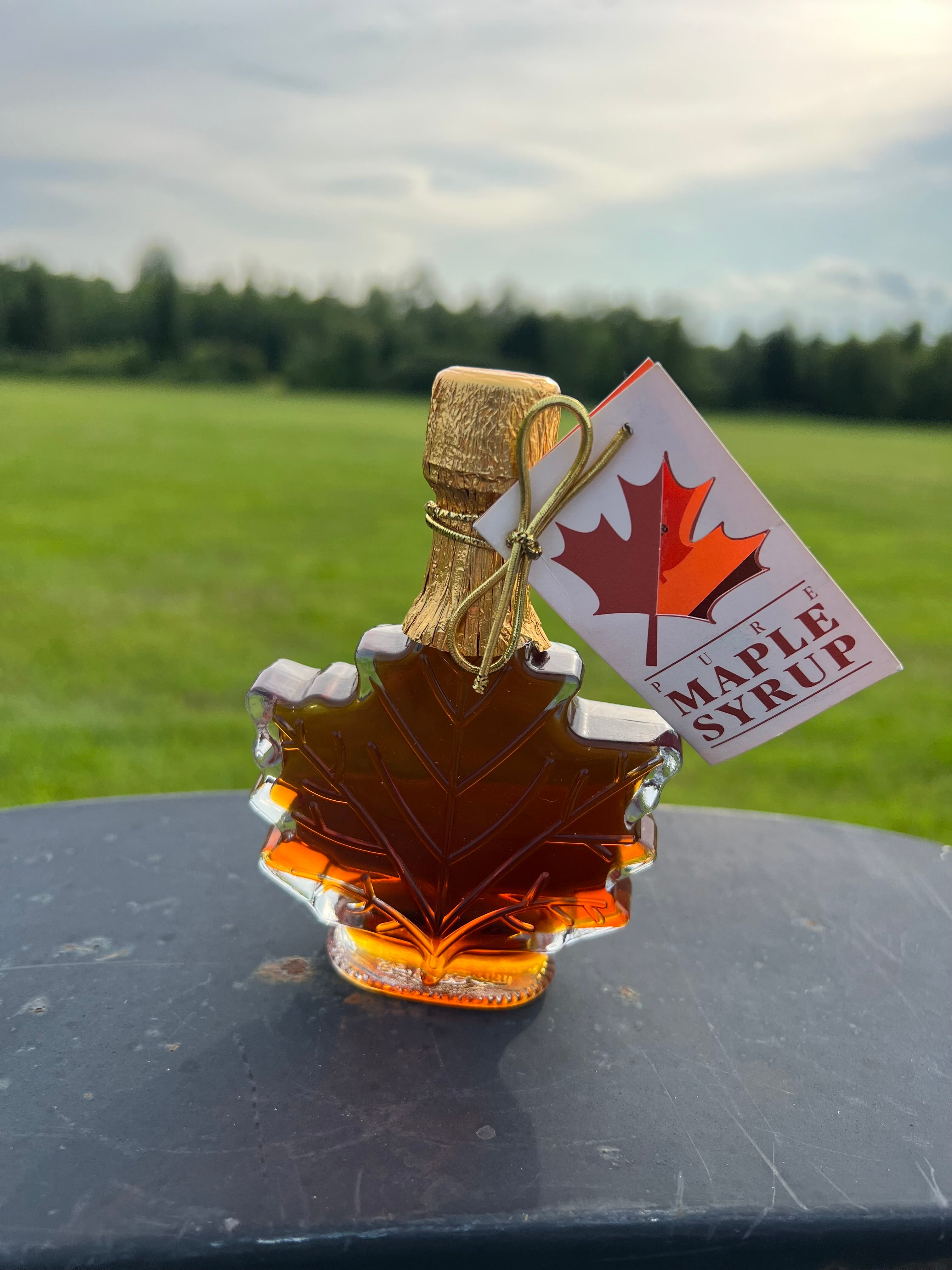 Syrup Maple Maine 1.7 fl. oz.