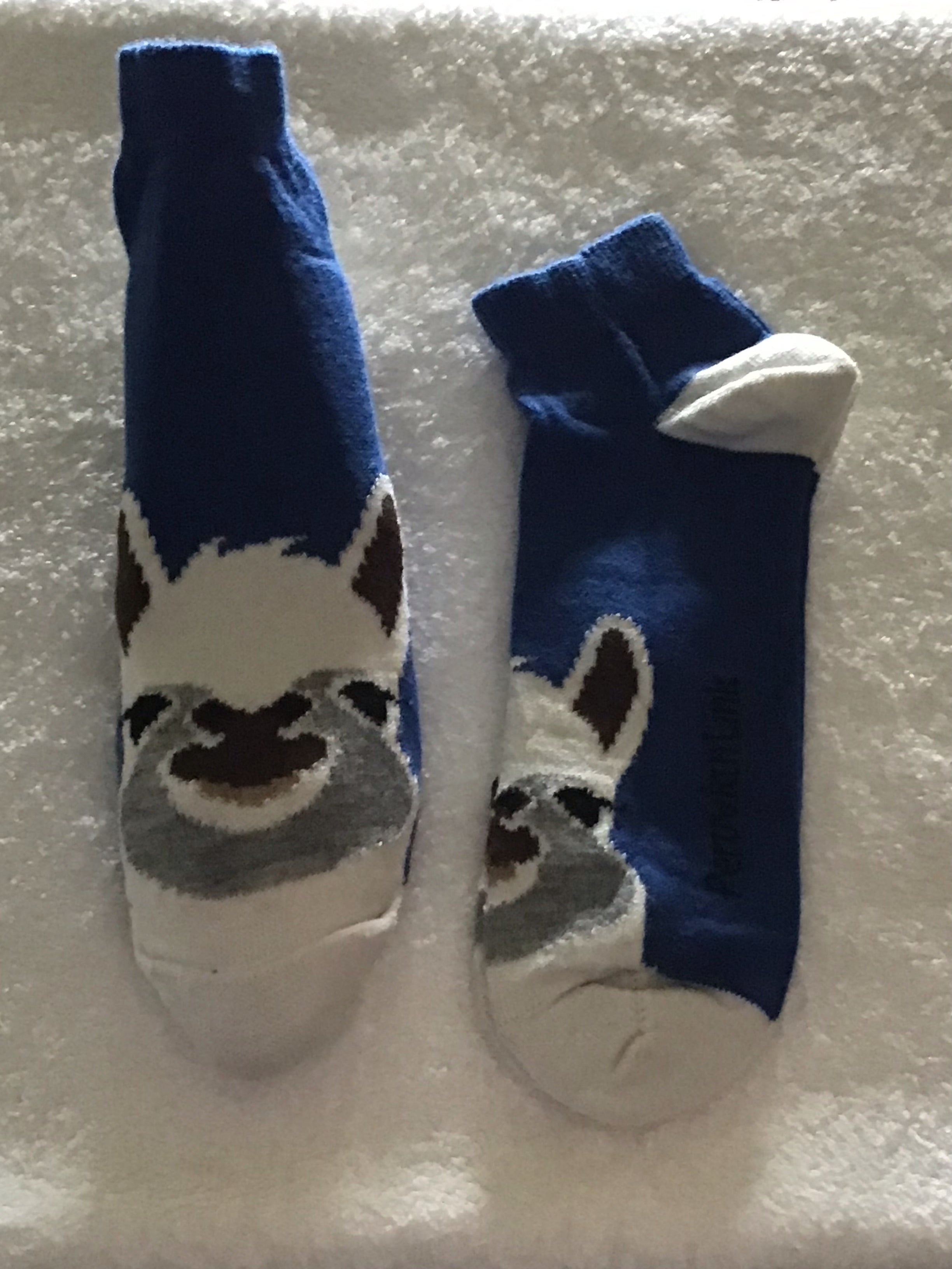 Socks Alpaca Face Ankle  blue L/XL