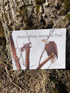 Maine Author MAMA GRAY SAVES THE DAY by Roger L. Stevens, Jr. in Greenfield, Maine